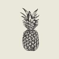 ananas teckning med årgång stil vektor