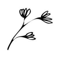 Blume botanische Pflanzen. Doodle-Stil.Logo-Symbol. vektor