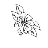 Blumen-Herz-Umschlag. Brief mit Blumen. Doodle-Stil. vektor