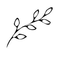 blomma botanisk växter. klotter style.logotyp ikon. vektor