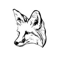 realistische Schwarz-Weiß-Zeichnung eines Fuchskopfes. zum Färben. vektor