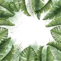 Aquarell quadratischer Rahmen mit grünen Palmblättern. handgezeichnete illustration mit exotischen tropischen pflanzen im isolierten hintergrund. sommerdschungel mit zweigen und aquarellspritzern. Vorlage für Karten. vektor