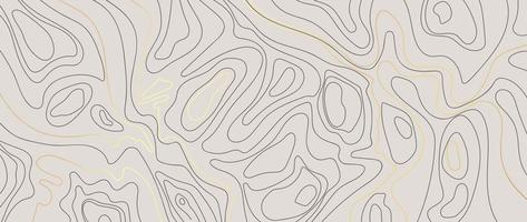 Luxus Gold abstrakte Linie Kunst Hintergrundvektor. bergtopografischer geländekartenhintergrund mit goldlinientextur. designillustration für wandkunst, stoff, verpackung, web, banner, app, tapete. vektor