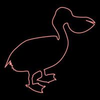 neon pelikan fågel sjöfågel waterbird röd Färg vektor illustration bild platt stil