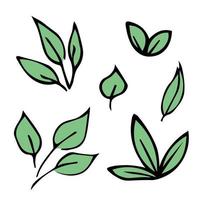 satz von handgezeichneten einfachen blättern. Öko-Doodle-Clipart. Botanische Illustration vektor