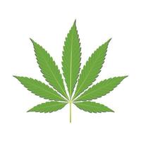 vektorillustration des cannabisblattes. Marihuana-Blatt-Zigaretten-Symbol, isolierter weißer Hintergrund.