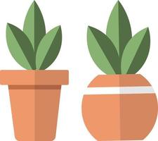 isolerat växt pott med träd och blad. blommig pengar växt inlagd och växande med grön takfot. vektor