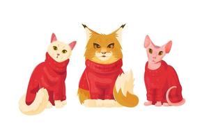 samling tecknad serie söt katter i röd Tröja vektor