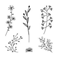 Doodle-Blumen-Set. hand gezeichnete linienskizze blumensammlung vektor
