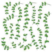 Reihe von abstrakten Cartoon-Zweigen und Lianen mit Blättern einer Pflanze.
