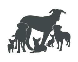 Hundesilhouetten, Gruppe von Hundesilhouetten vektor