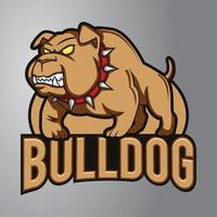 Bulldoggen-Maskottchen-Logo vektor
