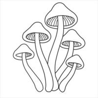 vektor de svamp är innehav de huva i de trädgård av illustration