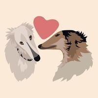 Ein Paar lange Windhunde umarmt sich vor dem Hintergrund eines Herzens. die Liebe zu Hunden. valentinstag grußkarte. ein festliches Banner mit Hunden. Bedrucken von Papier und Textilien vektor