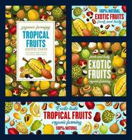 exotische tropische Früchte, Bio-Lebensmittelanbau vektor