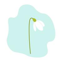 vår snödroppe blomma. vektor illustration