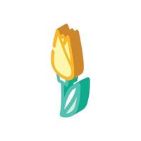 tulpan blomma isometrisk ikon vektor illustration