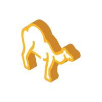 kamel djur- isometrisk ikon vektor illustration