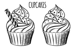 frische handgezeichnete Cupcakes und Muffins für Bäckerei oder Konditorei. vektor