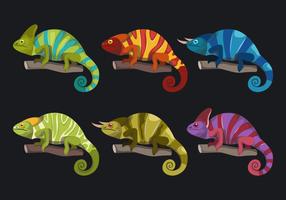 Färgglada Chameleon Collection Vector Illustration