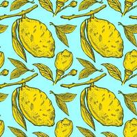 sömlös mönster citroner sömlös mönster. årgång bakgrund med hela citron, skivad, halv, blad och utsäde i hand dragen stil. citrus- design textur för skriva ut, tyg, omslag, tapet, vävnad. vektor