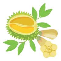 natur Durian ikon tecknad serie vektor. mat frukt vektor
