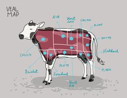 Kalbfleisch-Schnitt-Karten-Hand gezeichnete Vektor-Illustration vektor