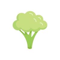 sauberer Brocoli-Symbol flacher Vektor. Kohl Gemüse vektor