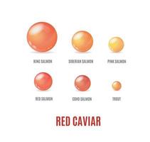 realistische detaillierte 3d-fahnenkonzept-anzeigenplakatkarte mit rotem kaviar. Vektor
