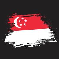 professionell singapore textur flagga vektor