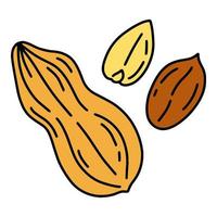 Erdnüsse einfache lineare Cartoon-Ikone im Doodle-Stil, Vektorillustration vektor