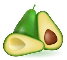 frisches reifes Fruchtset der grünen Avocado vektor