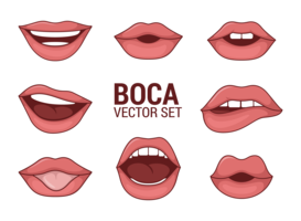 Boca-Vektoren der Frau vektor