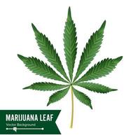 Cannabis-Symbolvektor. medizinische grüne Pflanzenillustration lokalisiert auf weißem Hintergrund. Grafikdesignelement für Ausdrucke, Web, Drucke, T-Shirt. vektor