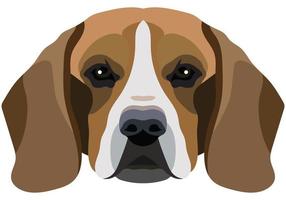Beagle-Gesicht. Vektorporträt eines Hundekopfes isoliert auf weißem Hintergrund. vektor