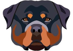 Rottweiler-Gesicht. Vektorporträt eines Hundekopfes isoliert auf weißem Hintergrund. vektor