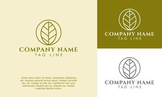 minimalistische linie kunst grünes blatt logo vektorillustration. einfaches elegantes zeichensymbol für landwirtschaftsindustrie, bio-produktetiketten-etikettenverpackung, natürliches spa, heilung, meditationslogo