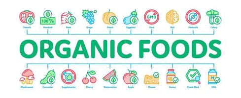 organisk eco livsmedel minimal infographic baner vektor