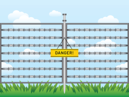 Razor Wire Risk Vector