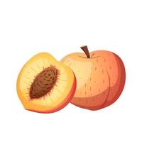 frukt persika tecknad serie vektor