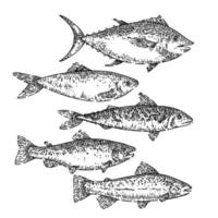Fischfutter-Set Skizze handgezeichneter Vektor