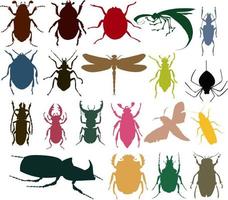 die große Sammlung von Insekten. eine vektorabbildung vektor