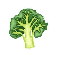 broccoli skära tecknad serie vektor illustration