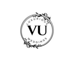 vu initialen brief hochzeitsmonogramm logos vorlage, handgezeichnete moderne minimalistische und florale vorlagen für einladungskarten, datum speichern, elegante identität. vektor