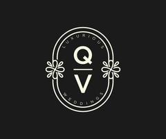 qv Initialen Brief Hochzeit Monogramm Logos Vorlage, handgezeichnete moderne minimalistische und florale Vorlagen für Einladungskarten, Datum speichern, elegante Identität. vektor
