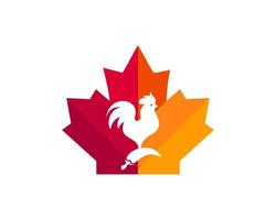 Kanadisches Hühnerlogo. Ahornblatt mit Dienstplanvektor. Ahorn-Huhn-Roster-Logo-Design vektor