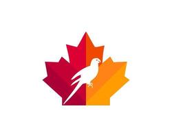 lönn papegoja logotyp design. kanadensisk papegoja logotyp. röd lönn blad med papegoja vektor