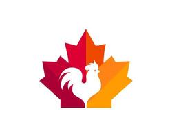kanadensisk kyckling logotyp. lönn blad med roster vektor. lönn kyckling roster logotyp design vektor