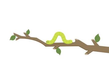 grüner Wurmvektor. Wurm-Cartoon-Vektor. Hintergrund. Freiraum für Text. grüner Wurm auf dem Baum vektor