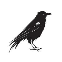 kråka minimal svart och vit vektor illustration ikon. svart fågel med fjädrar och mörk näbb.